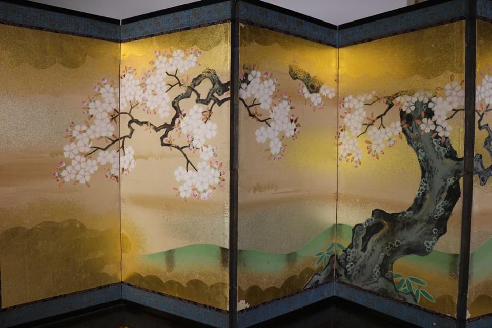 桜を描いた金地の屏風
